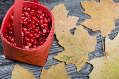 Kırmızı sepetteki kızılcıklar. Yakınlarda kurumuş akçaağaç yaprakları var. Kara tahtalarda, anlamlı ahşap dokusuyla..