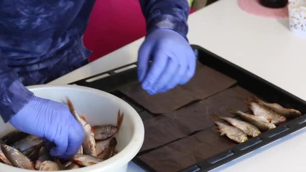 Un uomo con i guanti di gomma mette il pesce di fiume su una teglia. Per essiccazione in forno. — Video Stock