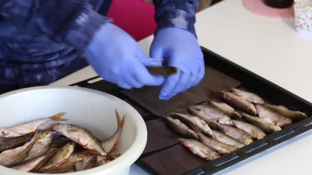 Um homem de luvas de borracha põe peixe de rio numa assadeira. Para secagem do forno — Vídeo de Stock