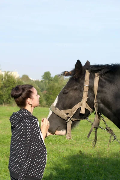 The girl strokes and feeds the horse. The horse grazes on a green meadow.