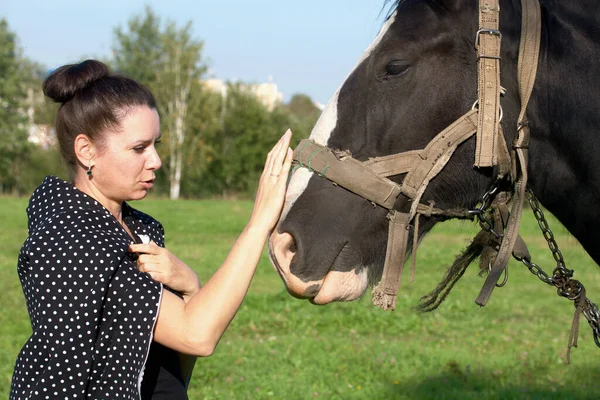 The girl strokes and feeds the horse. The horse grazes on a green meadow.