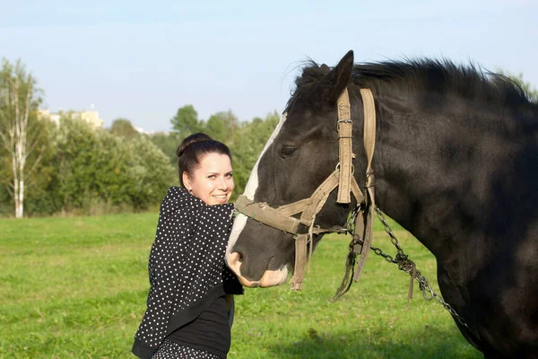 少女は馬をストロークし 供給する 緑の草原に馬が放牧されている — ストック写真