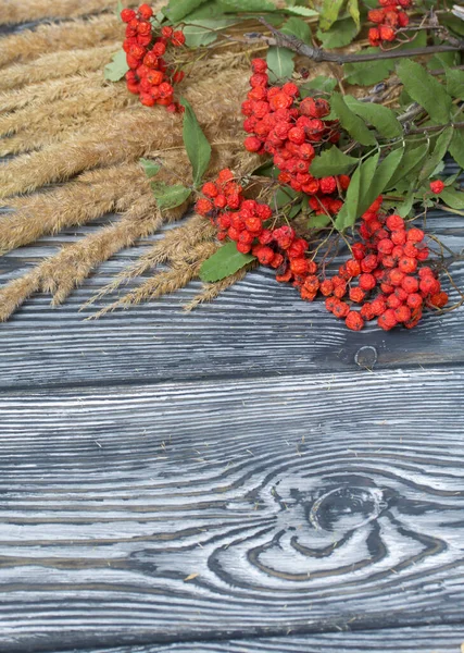 A bouquet of dried grass and rowan branches. They lie on black pine boards.