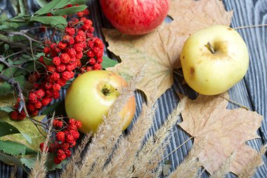 Olgun, biraz buruşmuş elmalar. Yakınlarda bir buket kurutulmuş ot, bir kürek dalı ve akçaağaç yaprağı var. Simsiyah tahtalar üzerinde,.