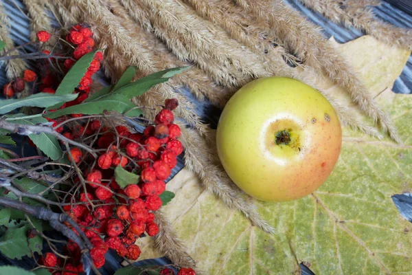 Dojrzałe Lekko Zgniecione Jabłka Pobliżu Znajduje Się Bukiet Suszonej Trawy — Zdjęcie stockowe
