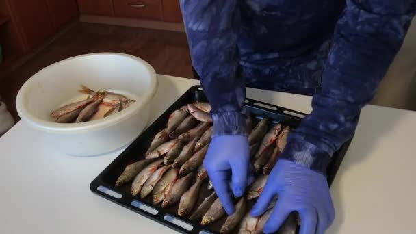 Un uomo con i guanti di gomma mette il pesce di fiume su una teglia. Per la cottura in forno.. — Video Stock