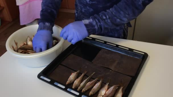 Un uomo con i guanti di gomma mette il pesce di fiume su una teglia. Per la cottura in forno. — Video Stock