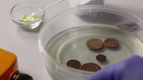 Um homem coloca moedas de cobre em um recipiente com ácido fosfórico para limpeza adicional e remoção de resíduos de corrosão. — Vídeo de Stock