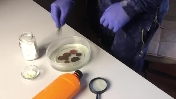 En maskerad man med gummihandskar lägger mynt i fosforsyra och kontrollerar rengöringsprocessen. Korroderade mynt och kemikalier för rengöring av kopparmynt skärs på bordet i närheten. — Stockvideo