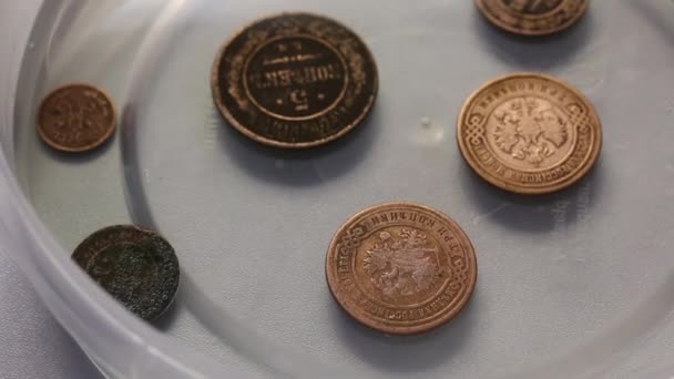 Korrodierte Kupfermünzen. Sie liegen in einem Behälter mit Phosphorsäure. Bereiten Sie sich auf ihre Reinigung und Patina vor — Stockvideo