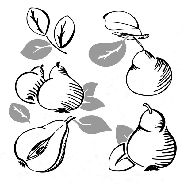 一组黑白相间的梨子 半梨子 涂鸦设计水果 素描风格的孤立手绘收割机 更清晰 邀请函 — 图库矢量图片