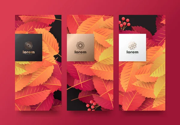 Vector Set Packaging Templates Leaves Nature Luxury Premium Products Logo — Διανυσματικό Αρχείο
