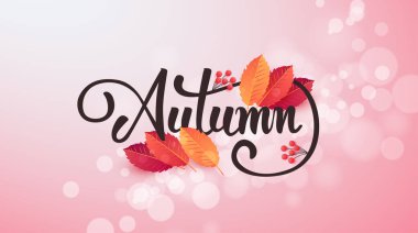 Sonbahar indirimi arka plan düzeni alışveriş satışı veya tanıtım afişi ve çerçeve broşürü veya web afişi için yapraklarla dekore edilir. Vektör illüstrasyon şablonu.