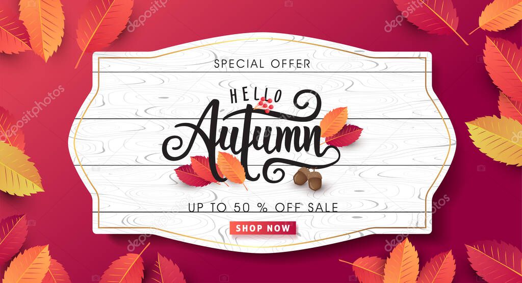 Autumn sale background layout decorate with leaves for shopping sale or promo poster and frame leaflet or web banner.Vector illustration template.