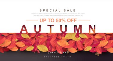 Güz Hediyesi tanıtım kuponu afişi. Zarif Sonbahar Fatura Tasarımı. 