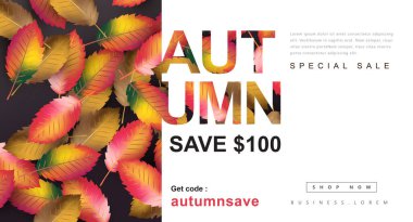 Güz Hediyesi tanıtım kuponu afişi. Zarif Sonbahar Fatura Tasarımı. 