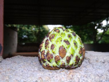 Kremalı elmanın vitaminleri, vitaminleri, vitaminleri ve besinleri var. Ve doğal olarak oraginc taze meyvesinden elma şekeri..