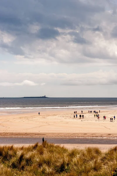 Alnmouth Beach insanlar yürüyüş ile