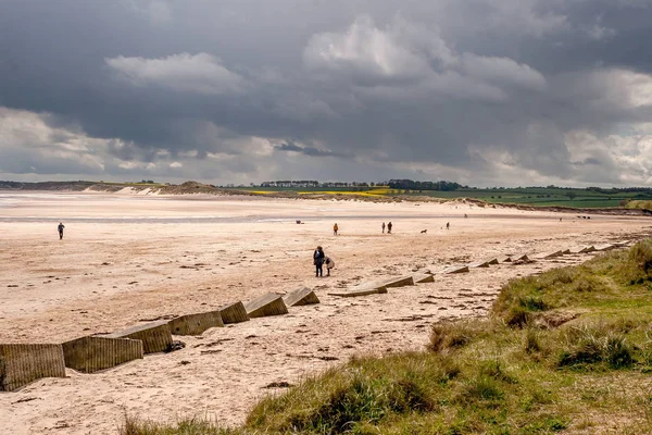 Ağır bir gökyüzü ile Alnmouth plaj