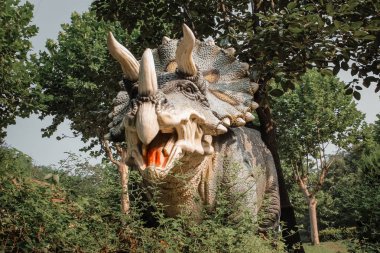 çocuklar için eğlence parkı