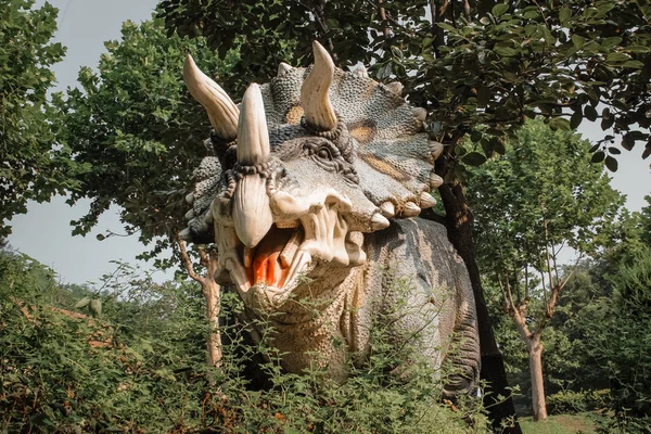 çocuklar için eğlence parkı