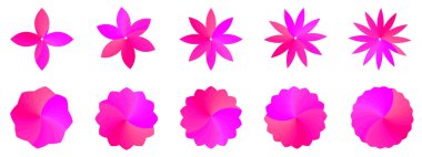 Pembe çiçek bitkisi, konuşma balonu, ikon, arkaplan dokusu, çıkartma promosyonu, rozet tanıtımı, etiket vektör çizim grafik tasarımı