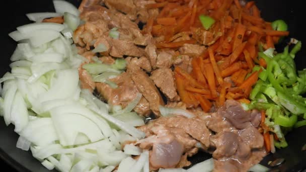 Vlees, uien, wortelen en paprika 's langzaam gekookt op pan. Close-up, slow motion — Stockvideo