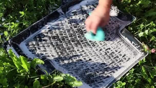 Main avec éponge lave tapis de voiture en caoutchouc, frotter la mousse de savon. Ralenti, FullHD — Video