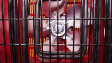 Endüstriyel ısıtıcıda bir pervane başlatın. Yavaş çekim, yakın çekim, FullHD