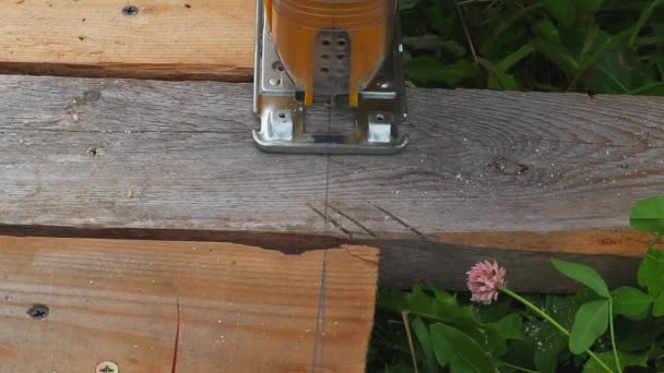 Scies sauteuses électriques la planche vierge sur l'herbe verte — Video