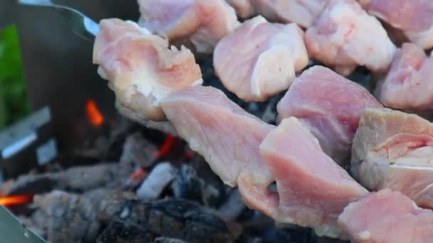 Kebab wieprzowy na szaszłyki jest powoli gotowane na spalanie węgla, na grillu — Wideo stockowe