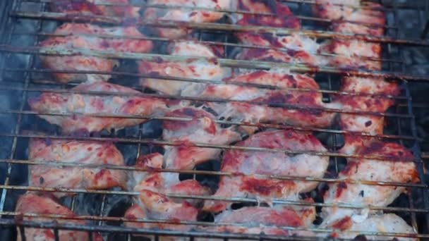O prato de carne de porco shish em uma grelha metálica cozinha-se lentamente em brasas ardentes — Vídeo de Stock
