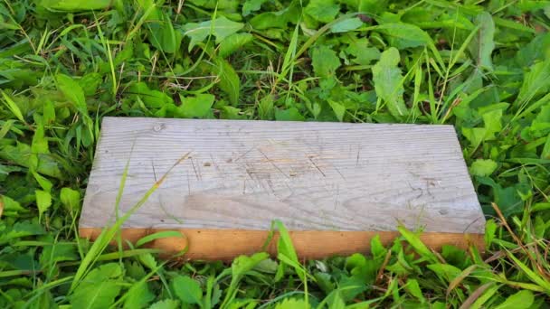 Un hacha de metal se pega en una tabla de madera contra un fondo de hierba verde — Vídeo de stock