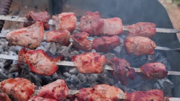 Espetos de porco em espetos de metal são lentamente cozidos em brasas — Vídeo de Stock