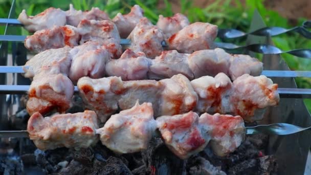 O prato de carne shish em espetos metálicos cozinha-se lentamente sobre brasas quentes. Close-up — Vídeo de Stock