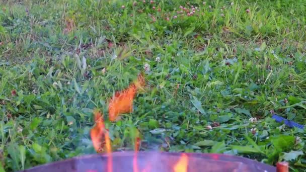 Arderea lentă a focului de tabără pe un fundal de iarbă verde. Mișcarea camerei în jos — Videoclip de stoc