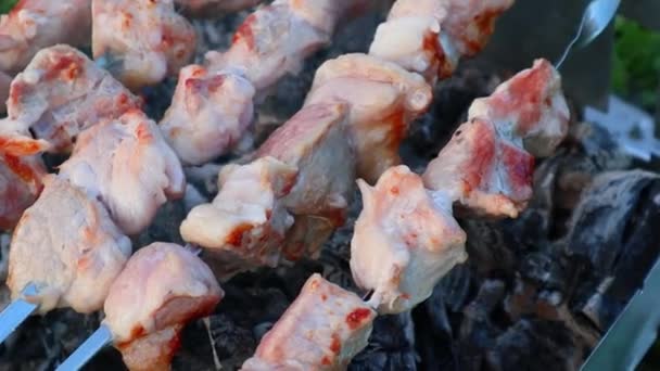Metal şişler üzerinde domuz eti şişleri yavaş yavaş kızgın kömürlerin üzerinde pişirilir. — Stok video