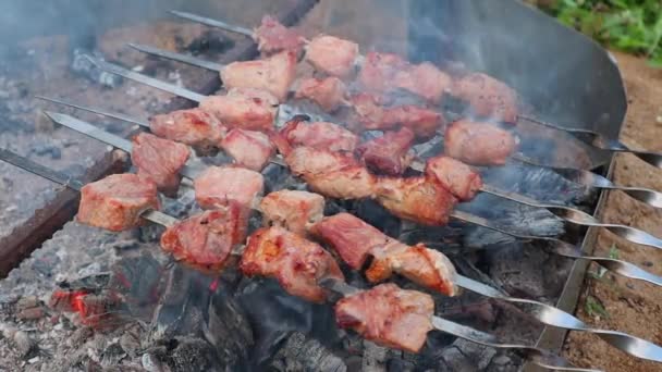 O prato de carne shish em espetos metálicos cozinha-se lentamente em carvão quente — Vídeo de Stock