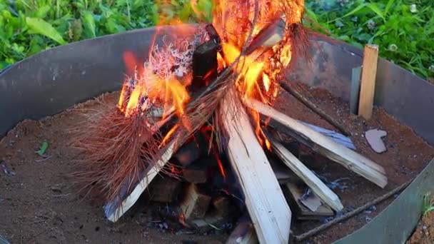 Um ramo seco de abeto lentamente se incendeia em um fogo ardente. Câmara lenta, FullHD — Vídeo de Stock