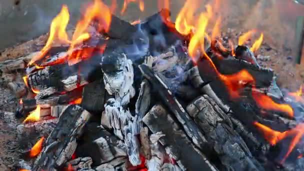 Långsam brinnande glöd med orange eld i en brasa på nära håll. Långsamma rörelser, FullHD — Stockvideo