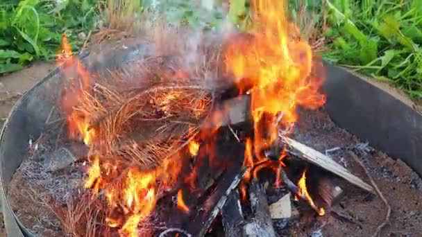 Une branche sèche d'épinette s'embrase lentement dans un feu ardent. Ralenti, FullHD — Video