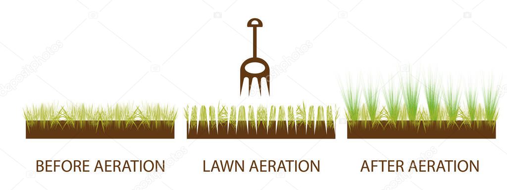 Lawn aeration. Gardening grass lawn care, landscaping service. Before and after lawn aeration, lawn grass care service, gardening and landscape design. Vector illustration