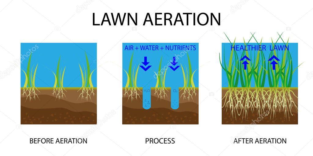 Lawn aeration. Process of aeration before and after, lawn grass care service, gardening and landscape design. Gardening grass lawn care, landscaping service. Vector illustration