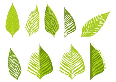 Simge yaprağı. Beyaz arka planda izole edilmiş yeşil el çizimi yapraklar. Vegan ürün, mobil uygulamalar ve web sitesi tasarımı için moda semboller. Vektör illüstrasyonu beyaz arkaplanda izole edildi