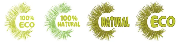 Iconos 100 Naturales Ecológicos Etiquetas Etiquetas Logotipo Alimentos Veganos Frescos — Vector de stock