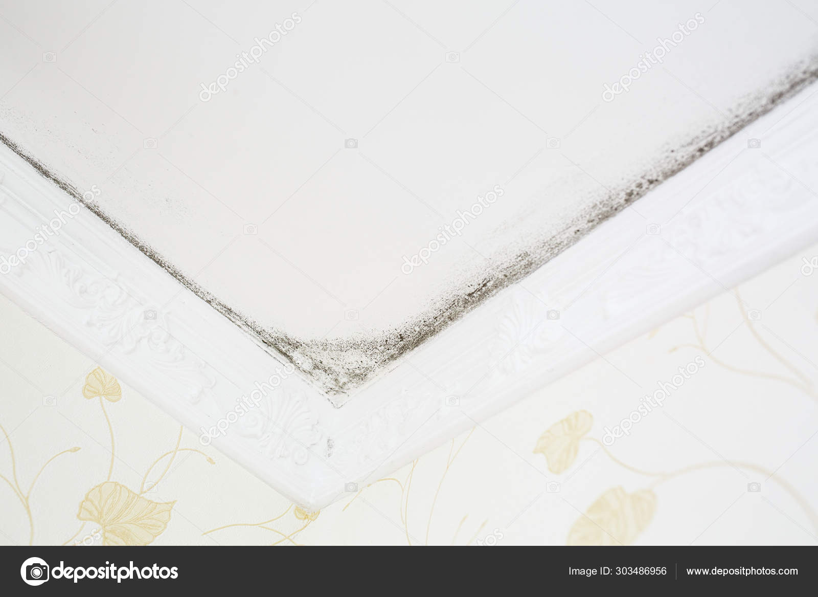 Black Mold On The Ceiling Of The Room Stock Photo C Alexxndr