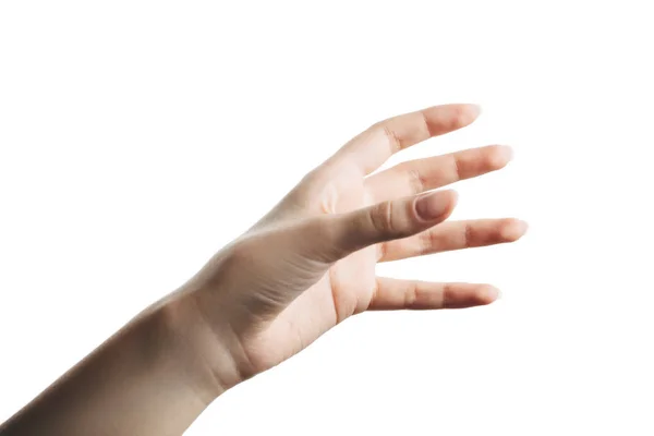 Mooie vrouwelijke hand nemen met een open palm. — Stockfoto