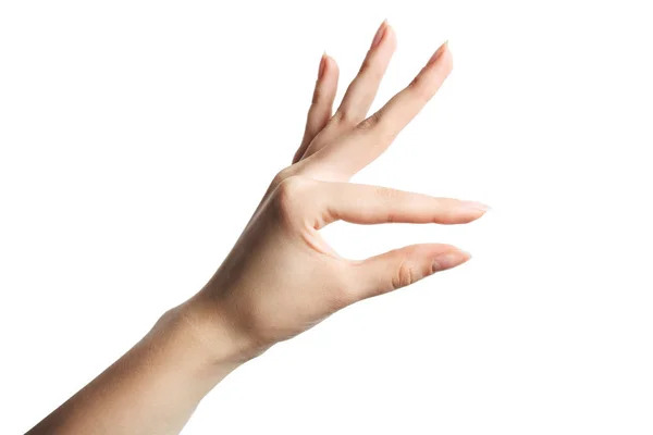 Güzel bir kadın eli açık avuçla tutuyor..