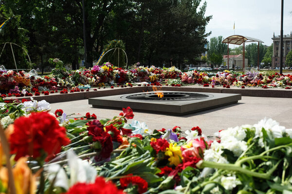 flowers lying in memory of those killed in the war