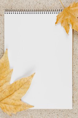 boş sayfa ile masanın üst görünümünde not defterini açın